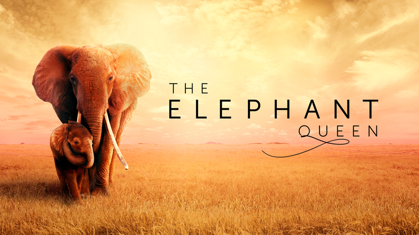 หน้าจอชื่อเรื่อง “The Elephant Queen” บน Apple TV+